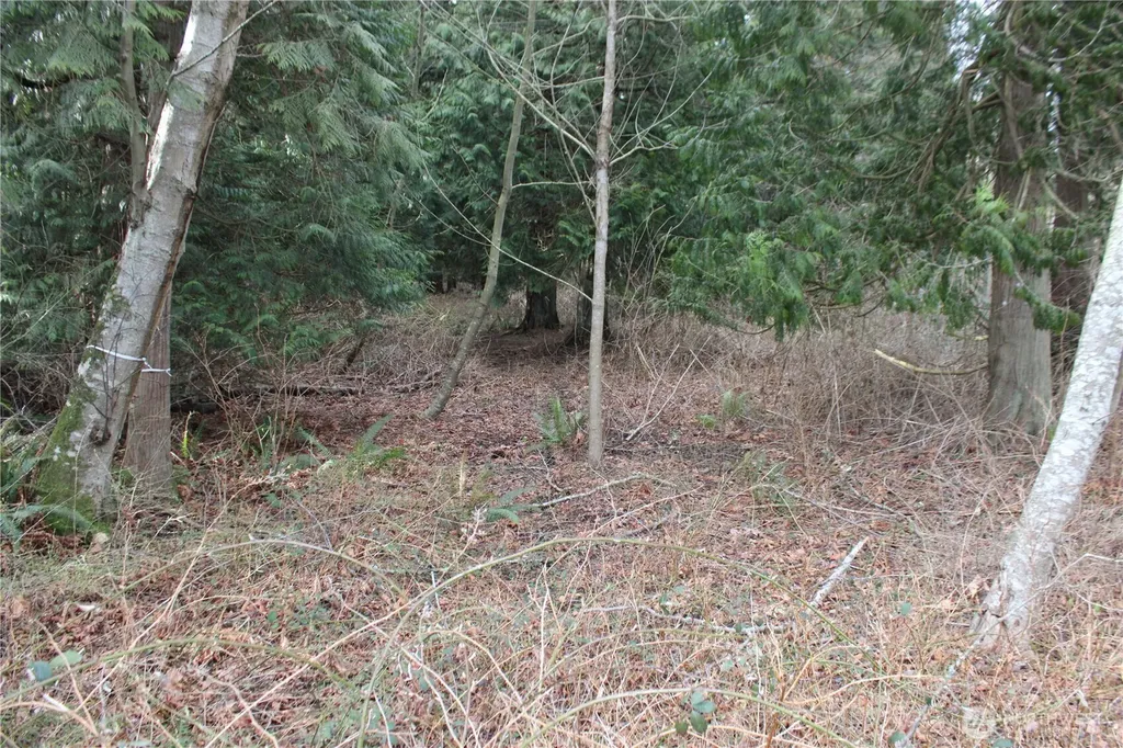 1 Semiahmoo Parkway Blaine WA 98230