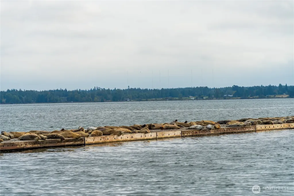 9540 Semiahmoo Parkway Blaine WA 98230