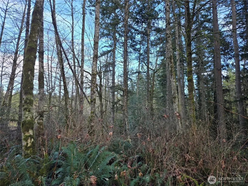 233 State Highway 3 NW Poulsbo WA 98370