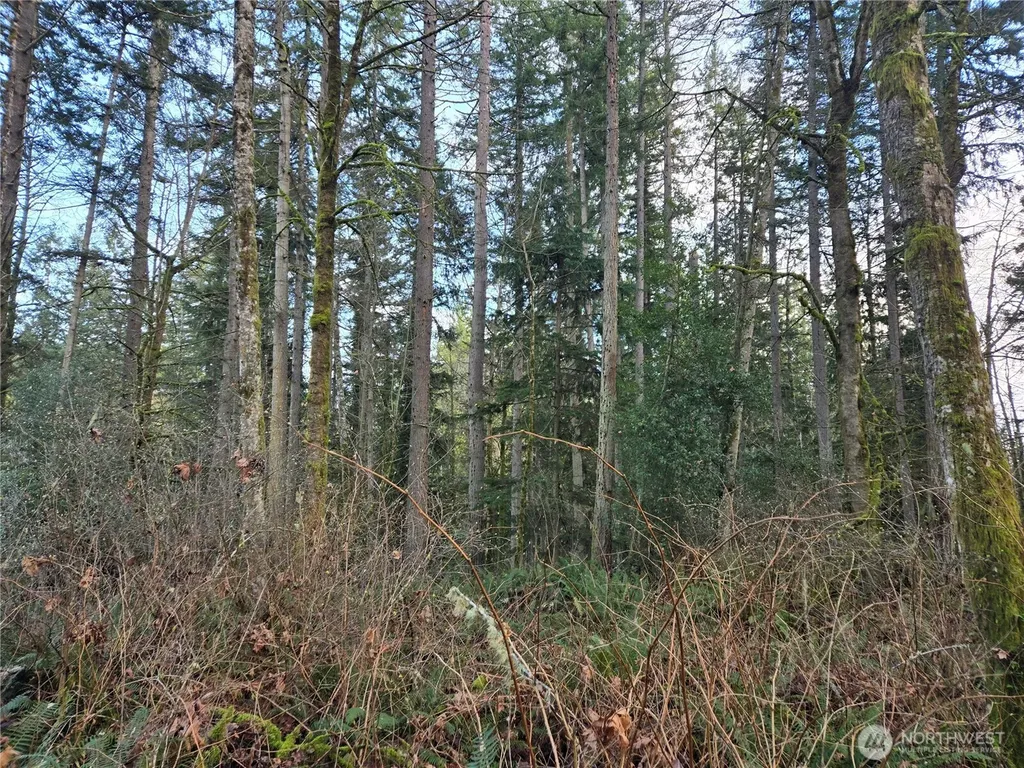233 State Highway 3 NW Poulsbo WA 98370