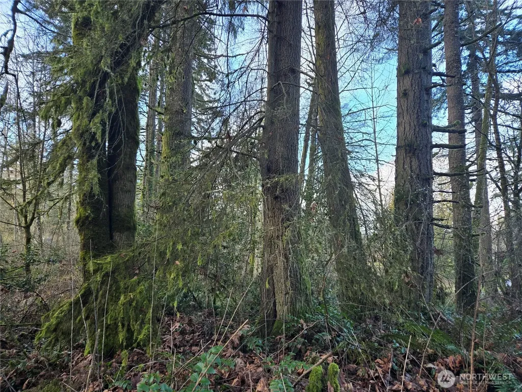 233 State Highway 3 NW Poulsbo WA 98370