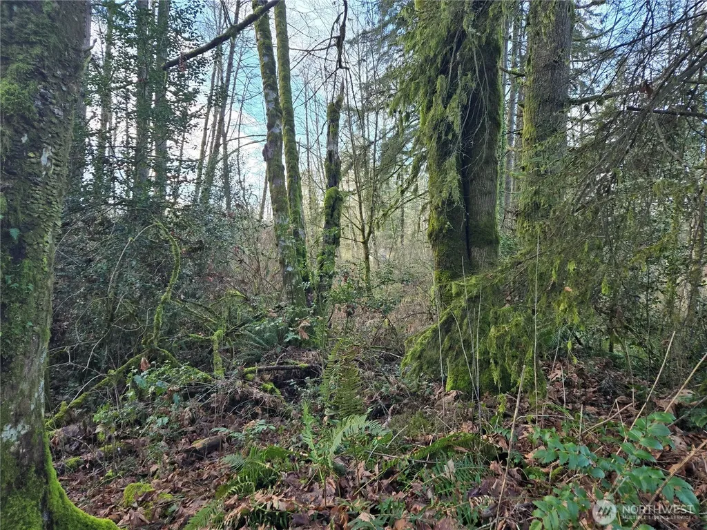 233 State Highway 3 NW Poulsbo WA 98370