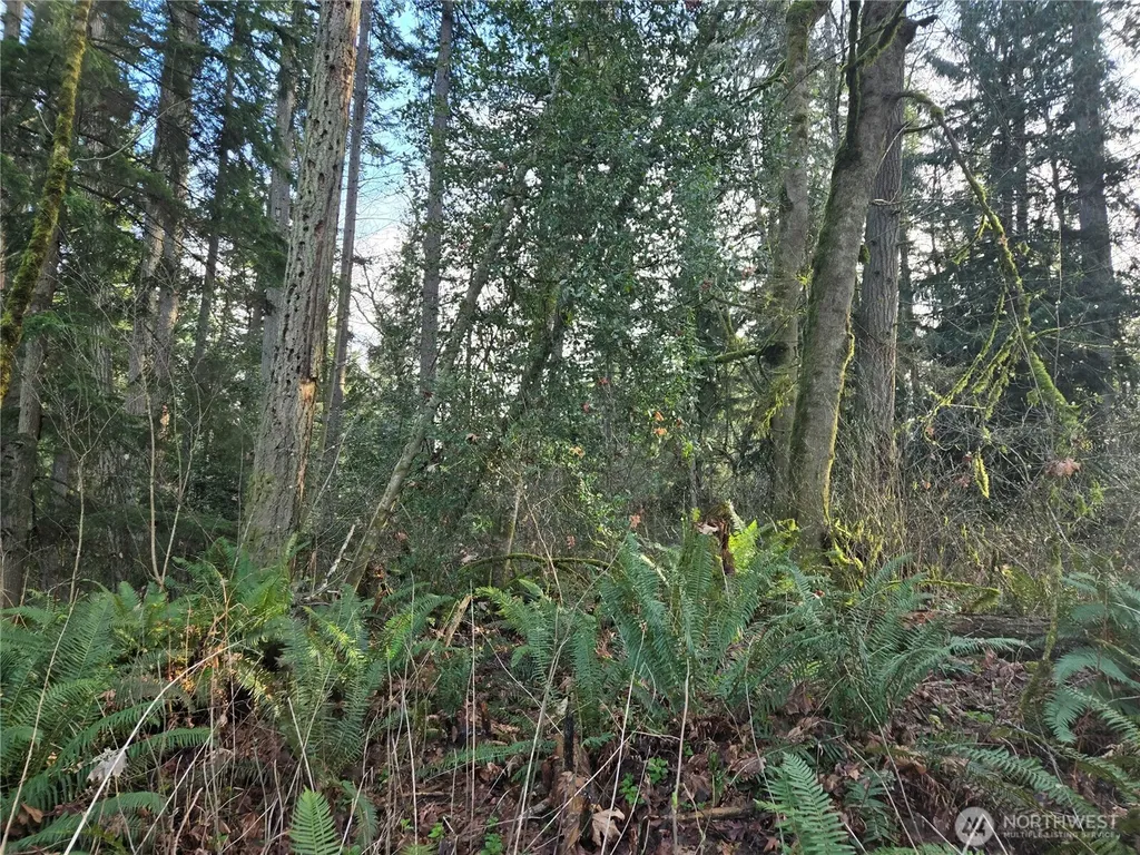233 State Highway 3 NW Poulsbo WA 98370