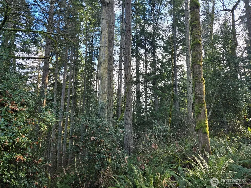 233 State Highway 3 NW Poulsbo WA 98370