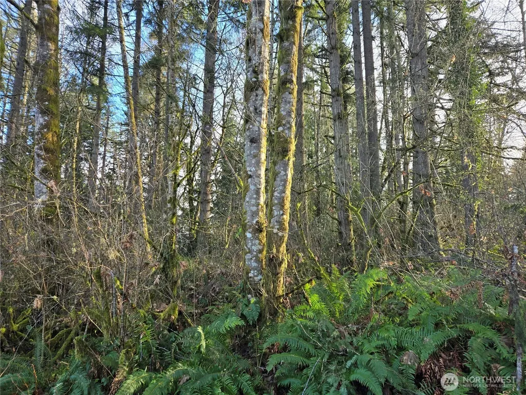 233 State Highway 3 NW Poulsbo WA 98370