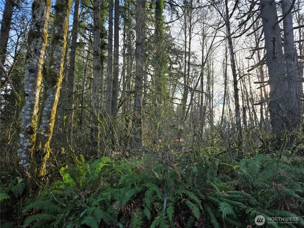 233 State Highway 3 NW Poulsbo WA 98370