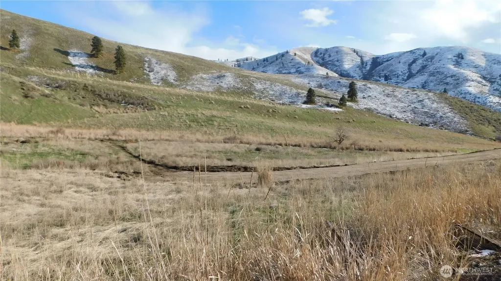 8013 Nahahum Canyon Road Cashmere WA 98815