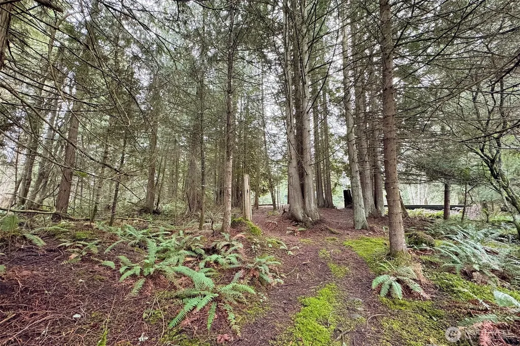 202 W Emerald Forest Lane Sequim WA 98382