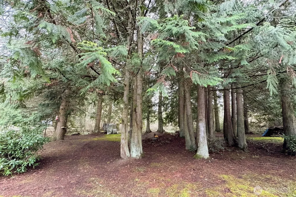 202 W Emerald Forest Lane Sequim WA 98382