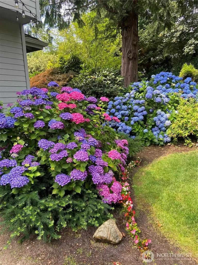7416 245th Way NE Redmond WA 98053