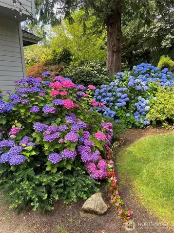 7416 245th Way NE Redmond WA 98053