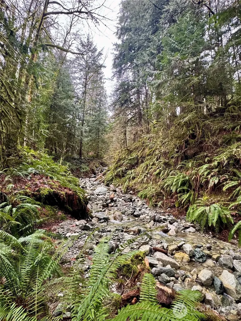 64315 Lookout Mountain Loop Marblemount WA 98267