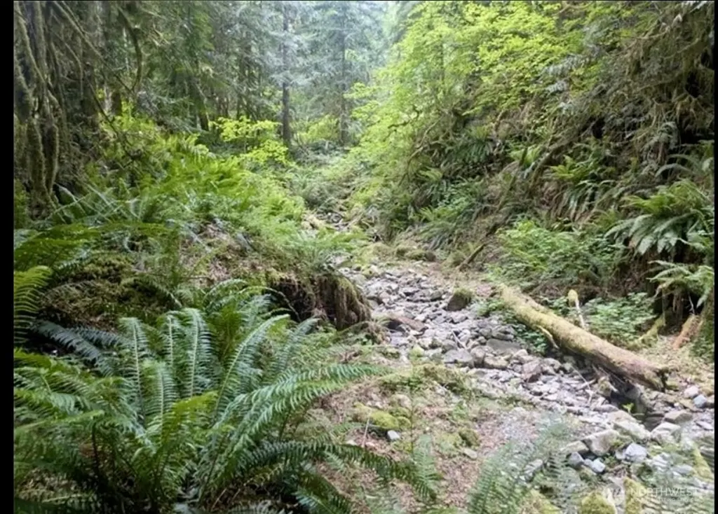 64315 Lookout Mountain Loop Marblemount WA 98267