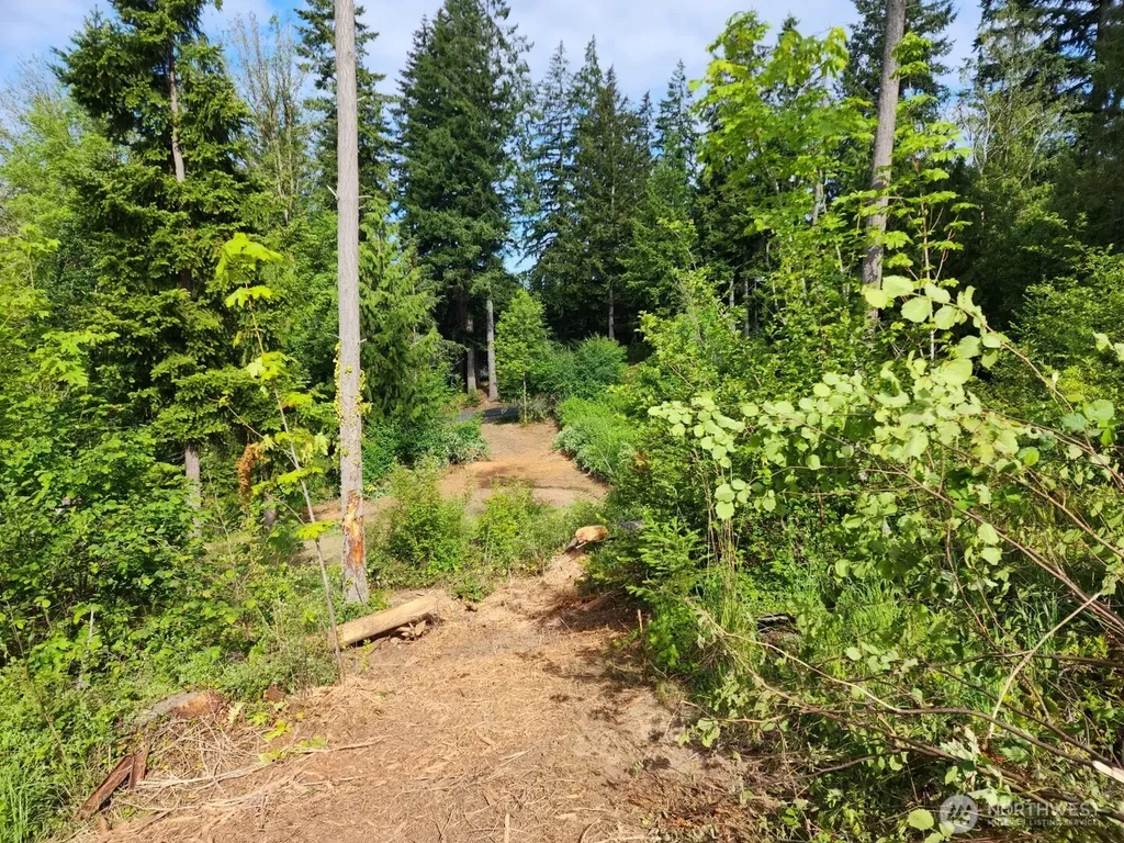 118 Tillicum Drive Chehalis WA 98532