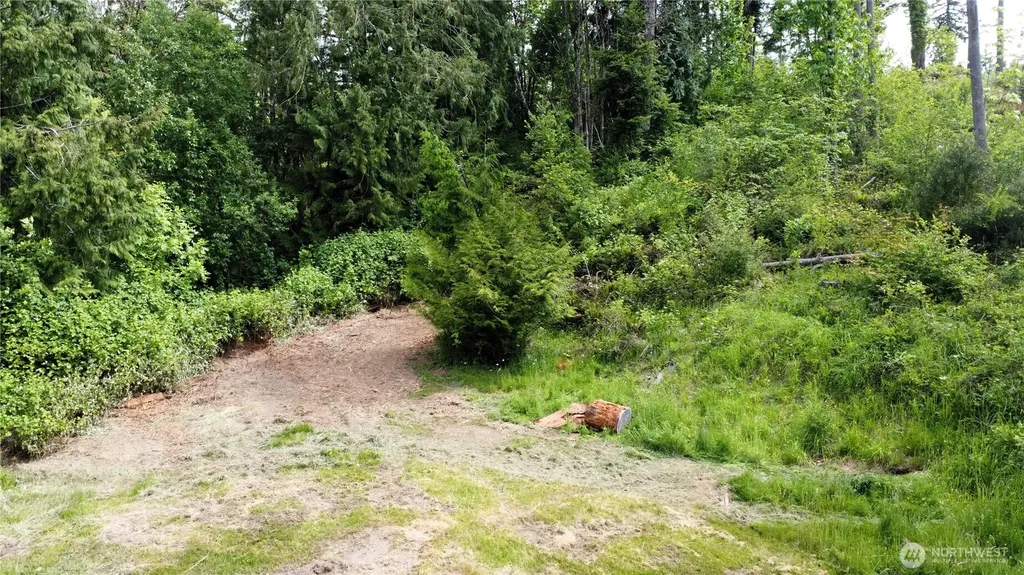 118 Tillicum Drive Chehalis WA 98532