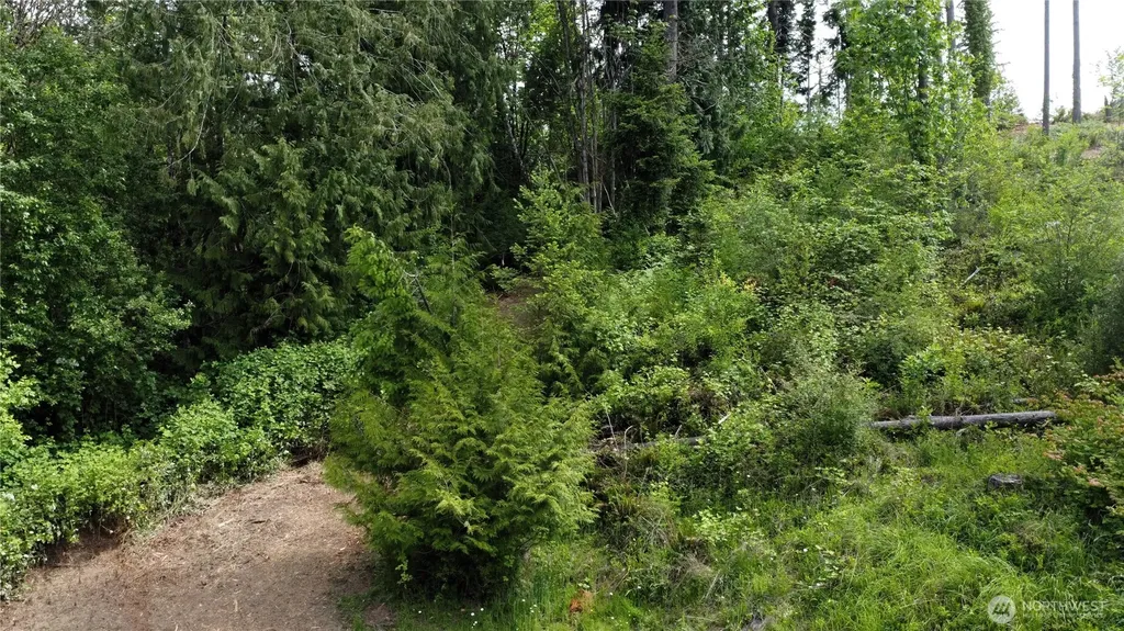 118 Tillicum Drive Chehalis WA 98532
