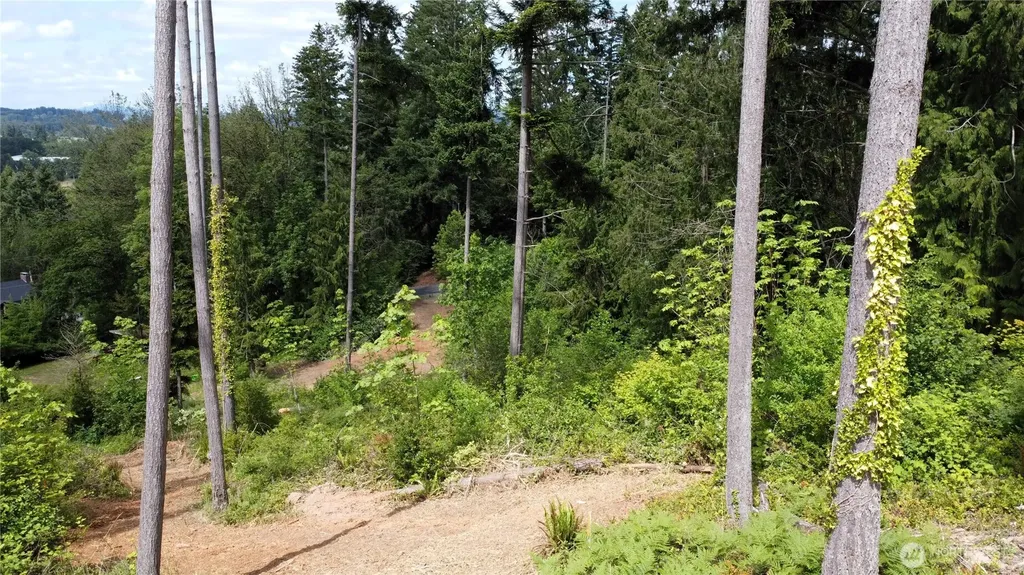 118 Tillicum Drive Chehalis WA 98532