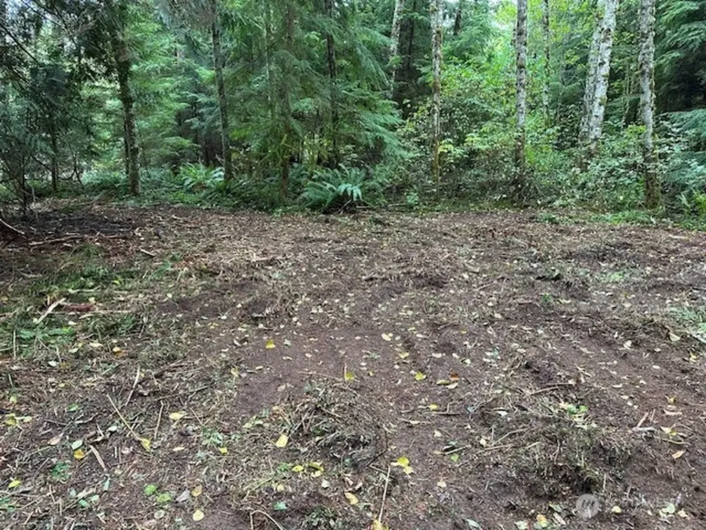 7988 Bethel Burley Road SE Port Orchard WA 98367