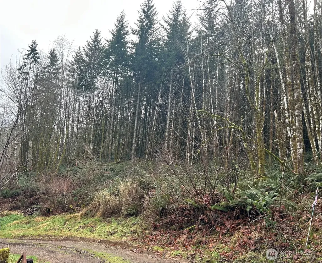 514 Berry Road Adna WA 98532