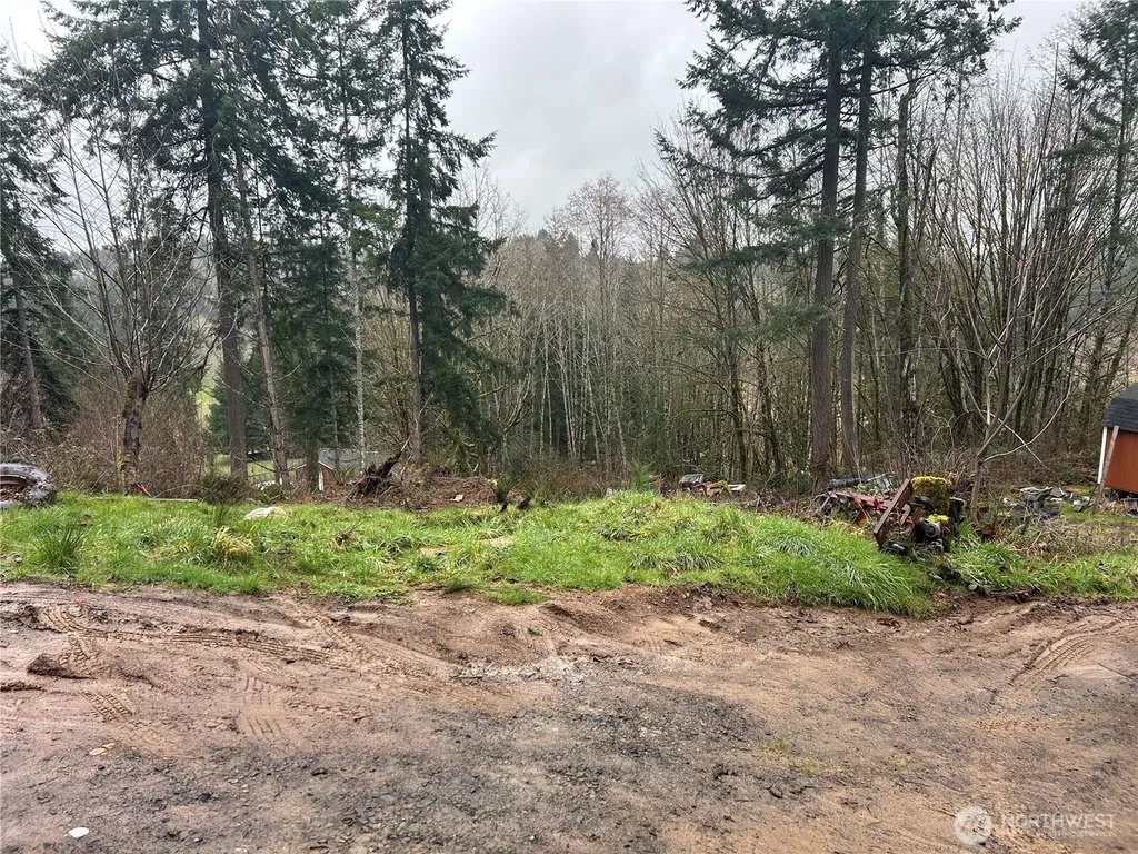 514 Berry Road Adna WA 98532