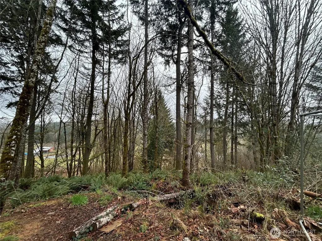 514 Berry Road Adna WA 98532