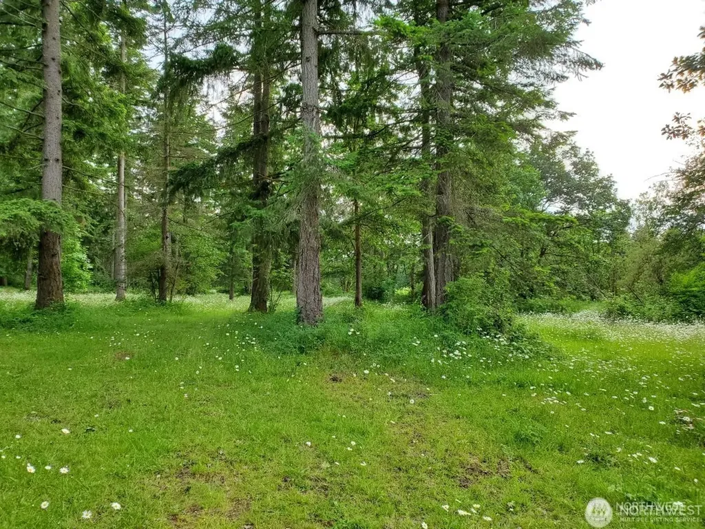 17837 Sargent Road SW Rochester WA 98579