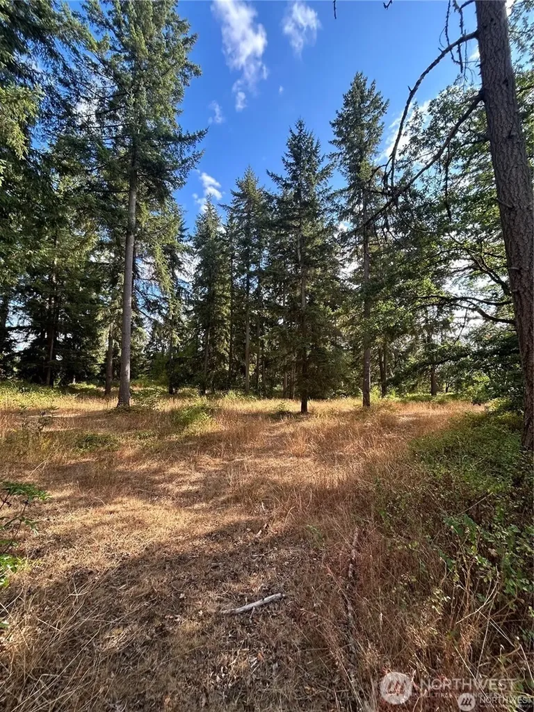 17837 Sargent Road SW Rochester WA 98579