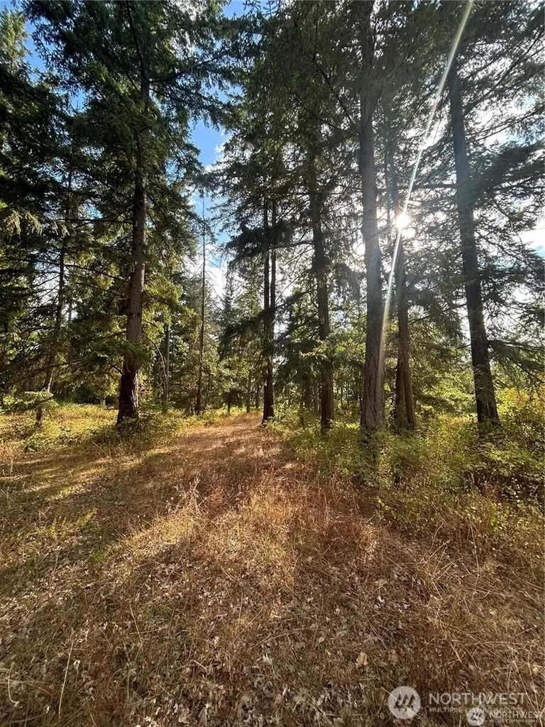 17837 Sargent Road SW Rochester WA 98579