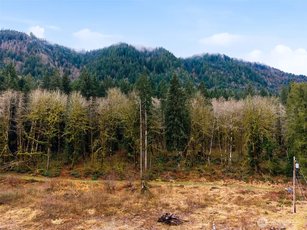134 Tilton Drive Morton WA 98356