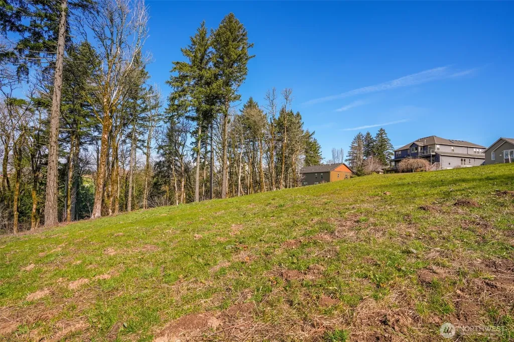 3011 NW 13th Circle Camas WA 98607