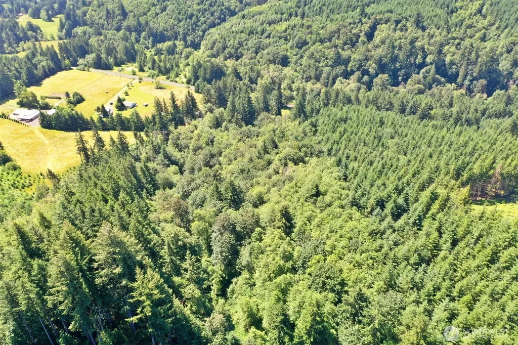 1668 King Road Winlock WA 98596