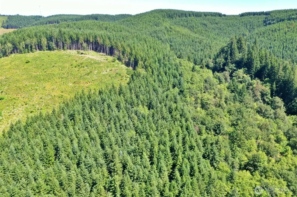1668 King Road Winlock WA 98596