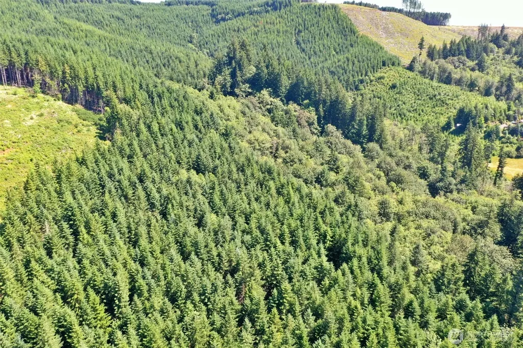 1668 King Road Winlock WA 98596