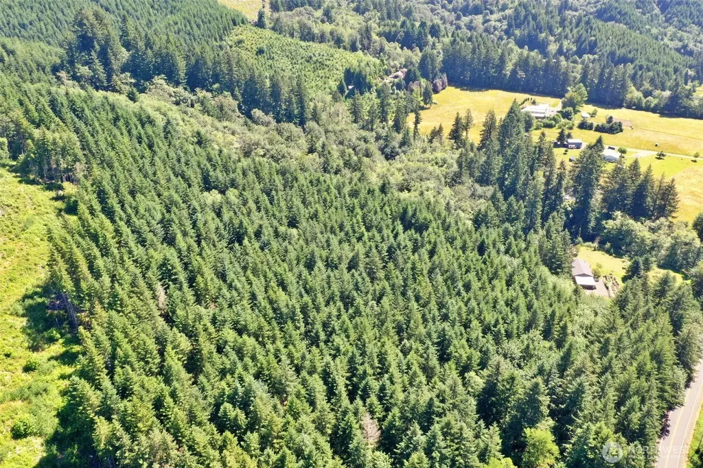 1668 King Road Winlock WA 98596