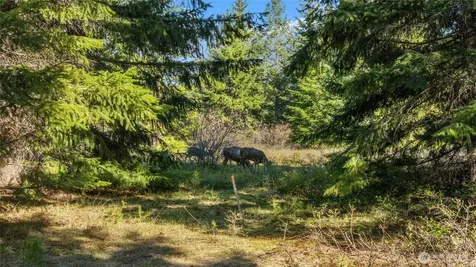 90 Gold Fountain Lane Cle Elum WA 98922