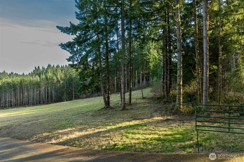 0 Silverwood Drive Castle Rock WA 98611
