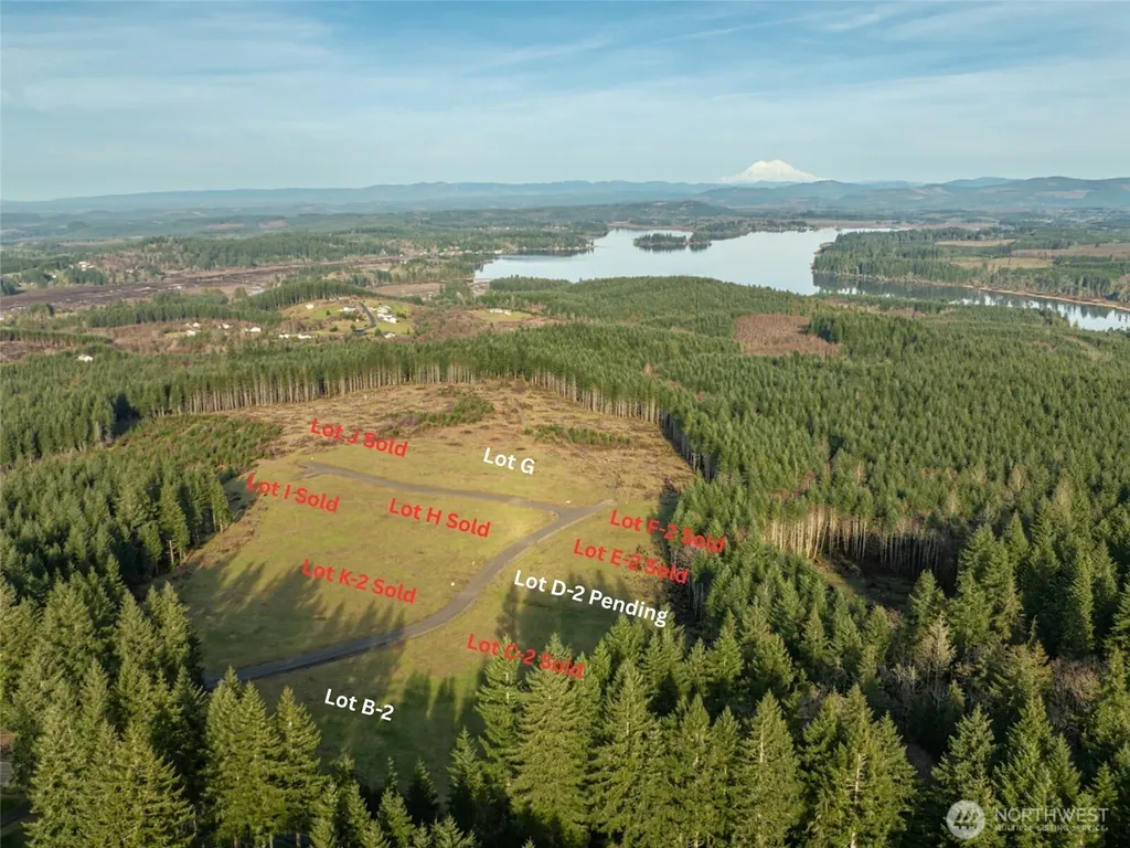 0 Silverwood Drive Castle Rock WA 98611
