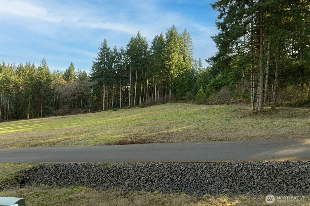 0 Silverwood Drive Castle Rock WA 98611
