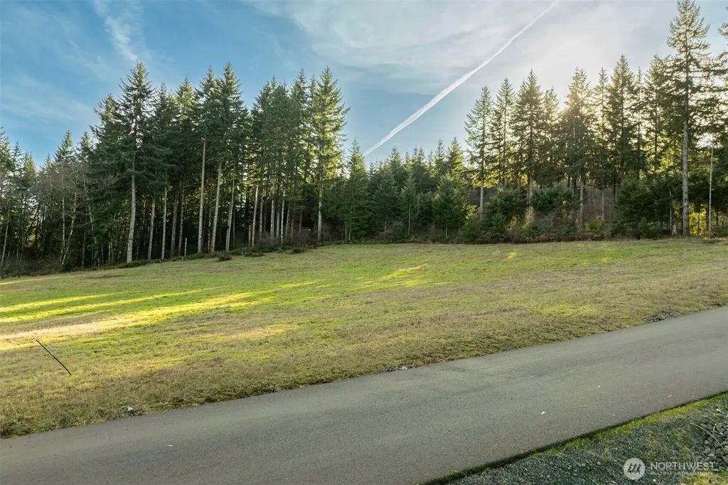 0 Silverwood Drive Castle Rock WA 98611