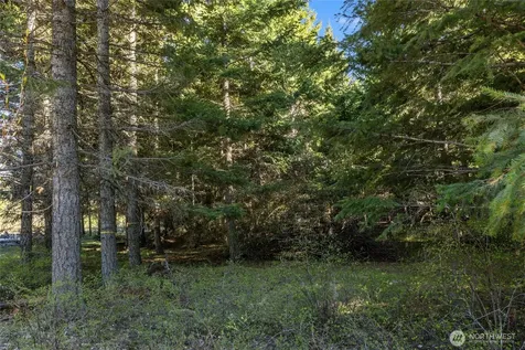80 Gold Fountain Lane Cle Elum WA 98922
