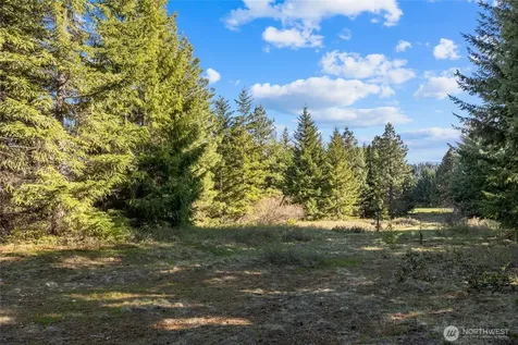 80 Gold Fountain Lane Cle Elum WA 98922