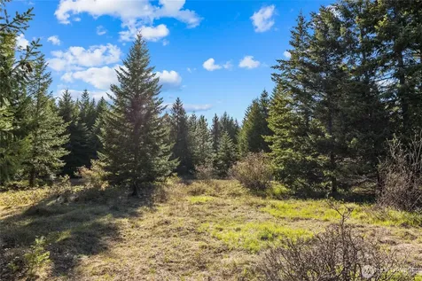 80 Gold Fountain Lane Cle Elum WA 98922