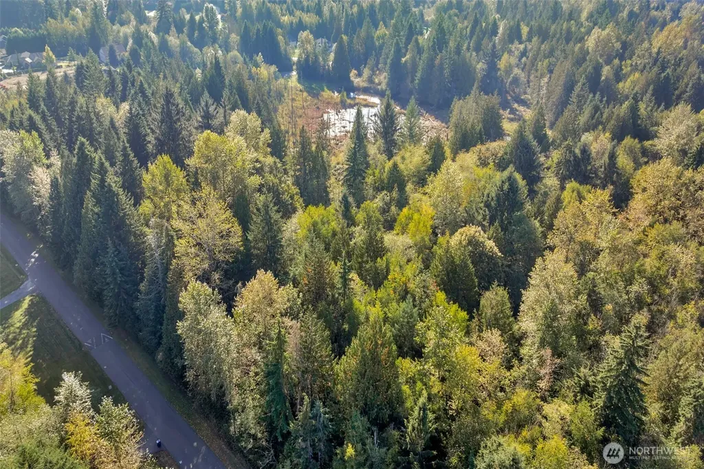 123 123rd Avenue NE Lake Stevens WA 98258