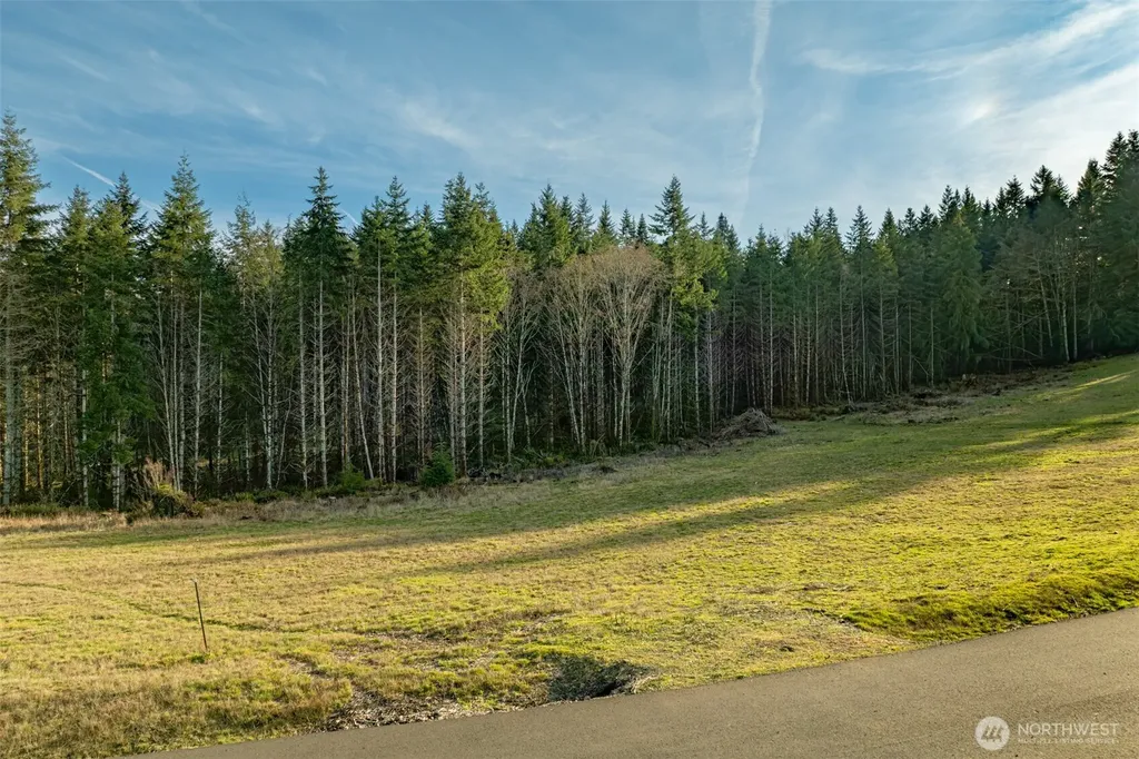 0 Silverwood Drive Castle Rock WA 98611