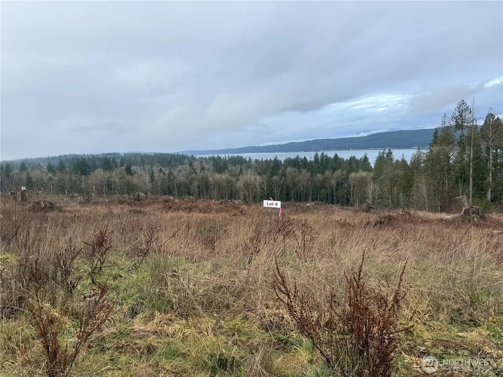 6 Rimstone Loop Belfair WA 98528