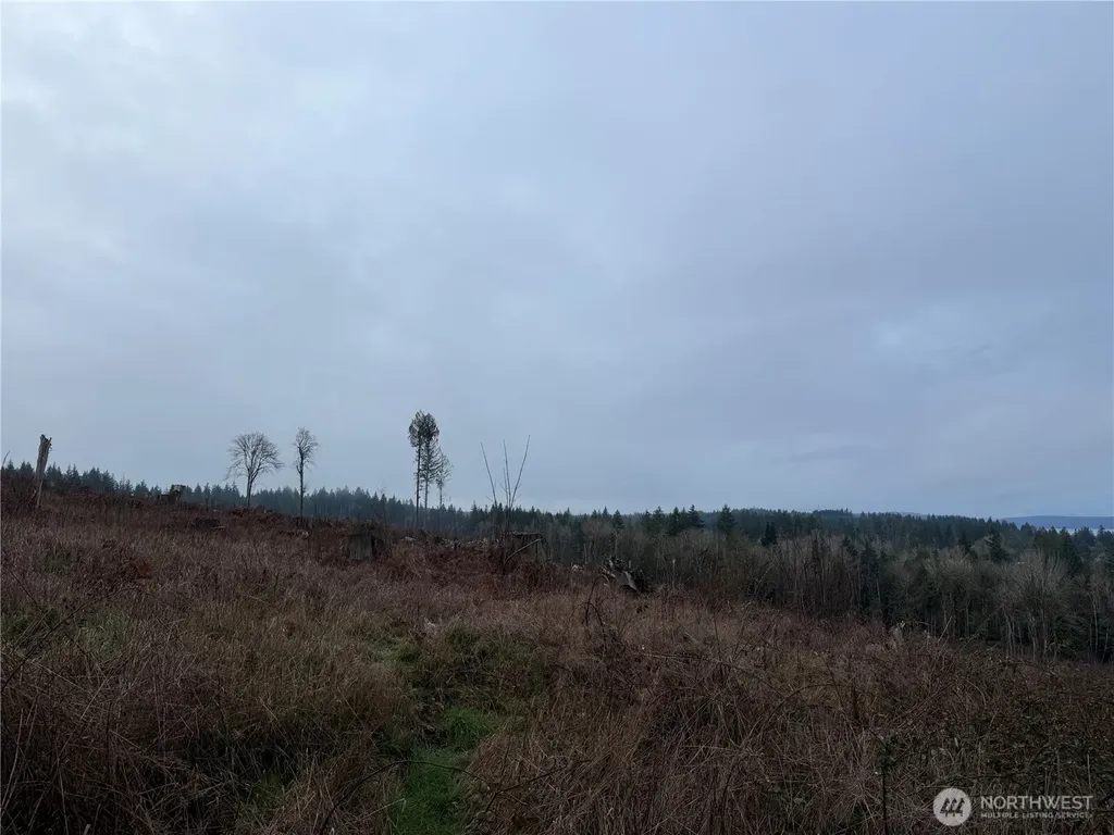 6 Rimstone Loop Belfair WA 98528