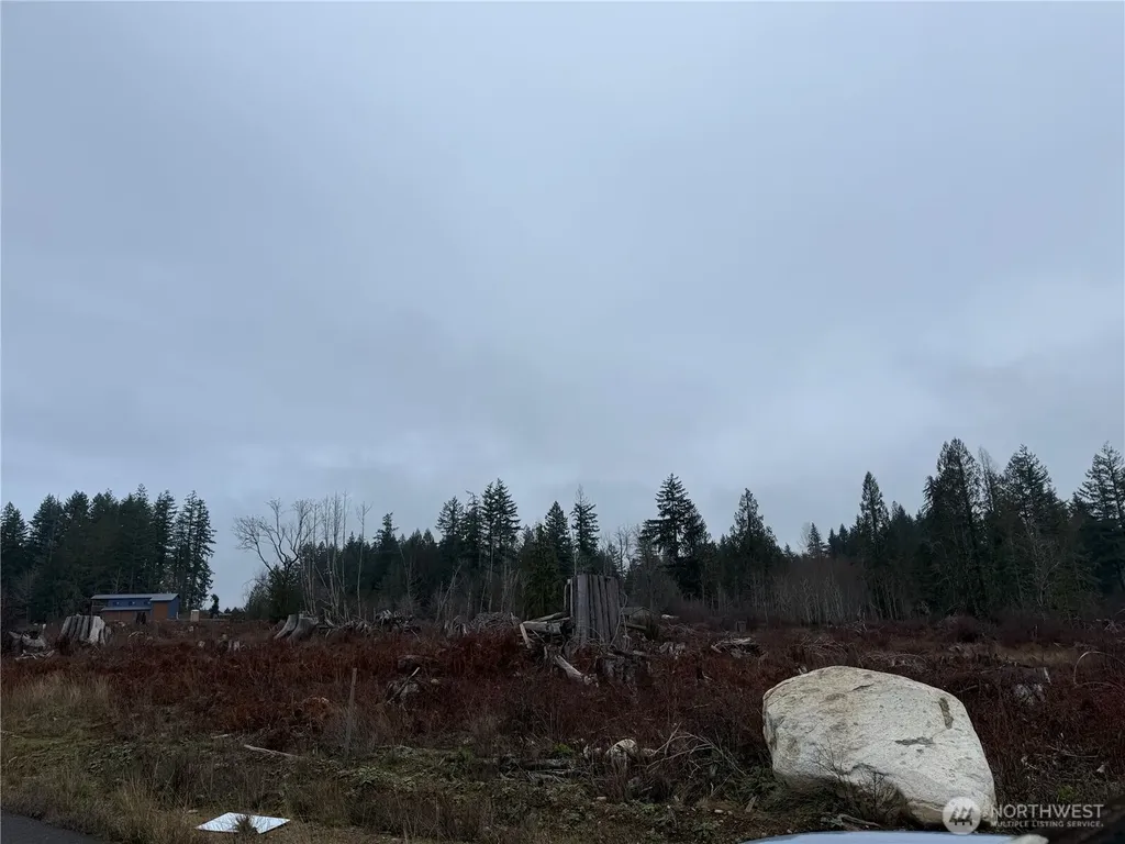3 Rimstone Loop Belfair WA 98528