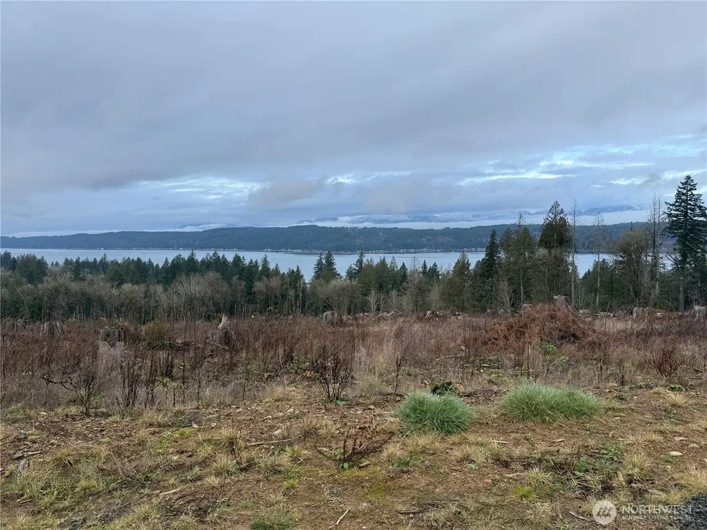 7 Rimstone Loop Belfair WA 98528