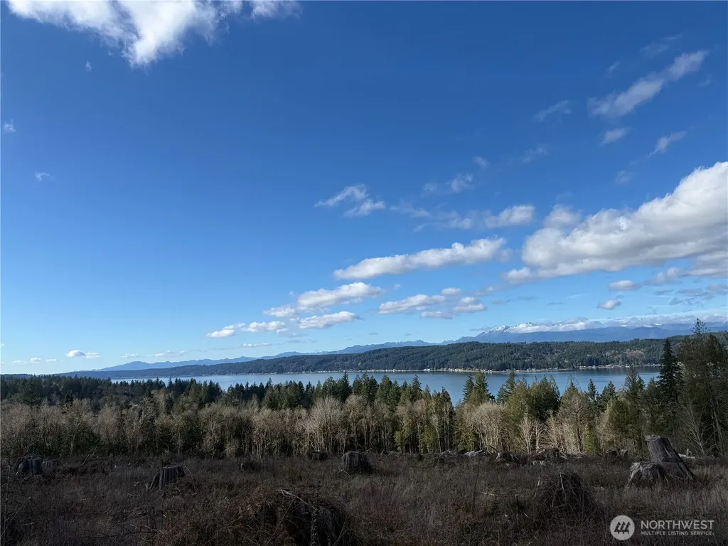 2 Rimstone Loop Belfair WA 98528