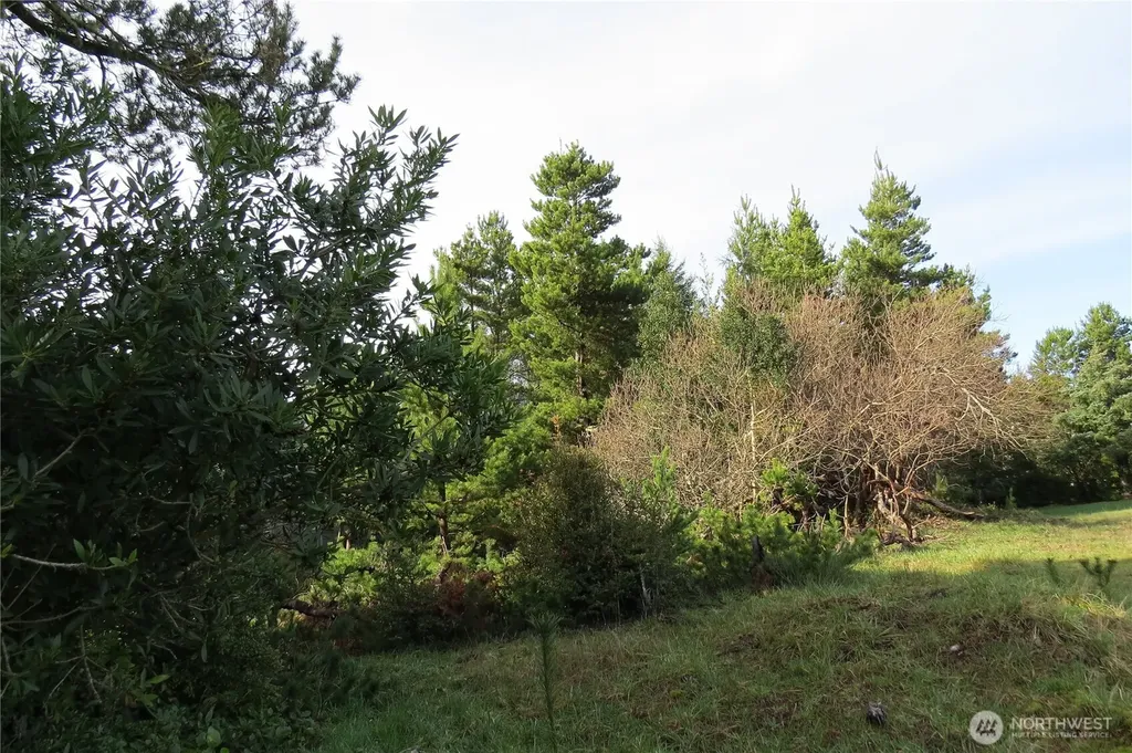 326 Wildwood Avenue SE Ocean Shores WA 98569